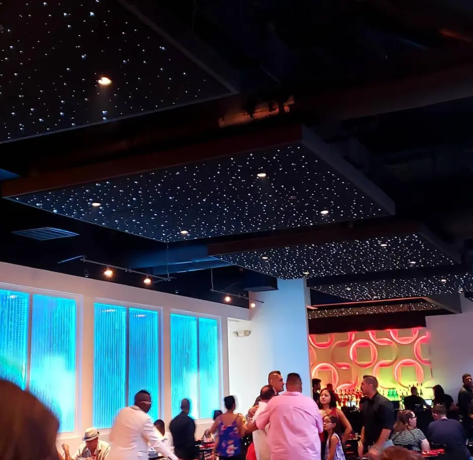 star ceiling panels in a bar scene