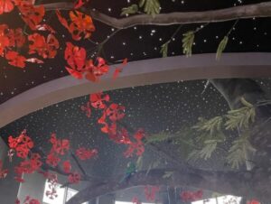 Elevate Your Designs with Custom LED Lighting by Impact Lighting Inc. in Orlando, Florida