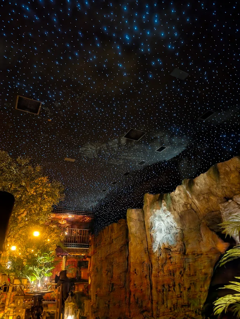 EpiXsky Star Ceiling Panels